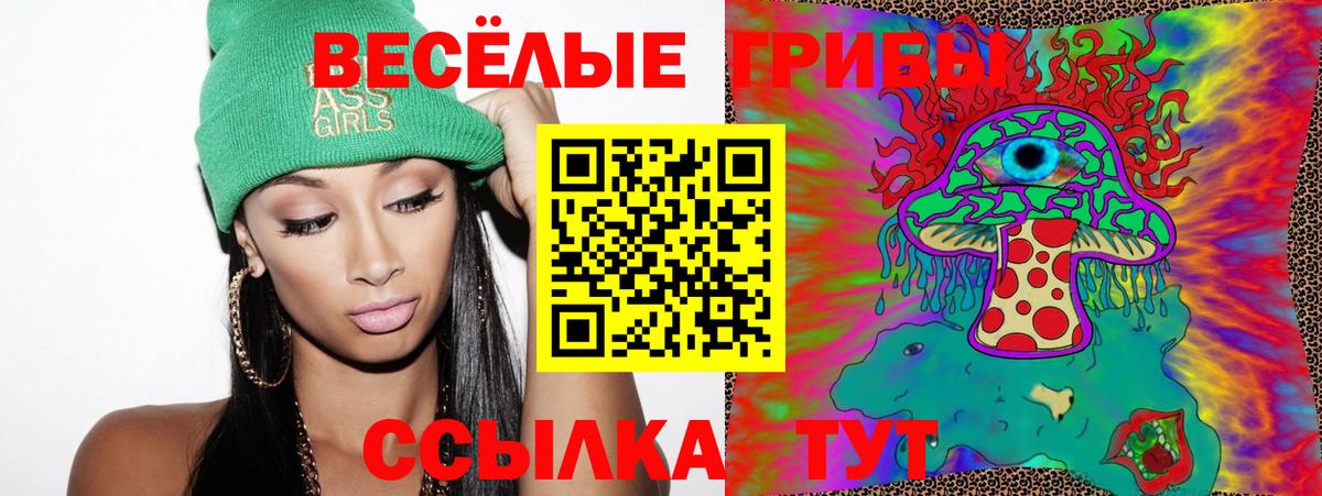 Галлюциногенные грибы Psilocybe Мценск