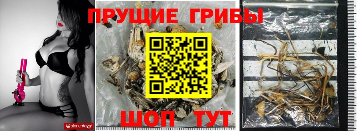 Псилоцибиновые грибы прущие грибы  Галлюциногенные грибы ЛСД  Мценск 